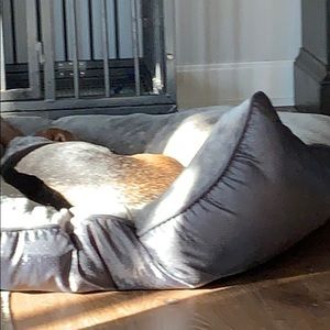 Meet your Posher, Ben